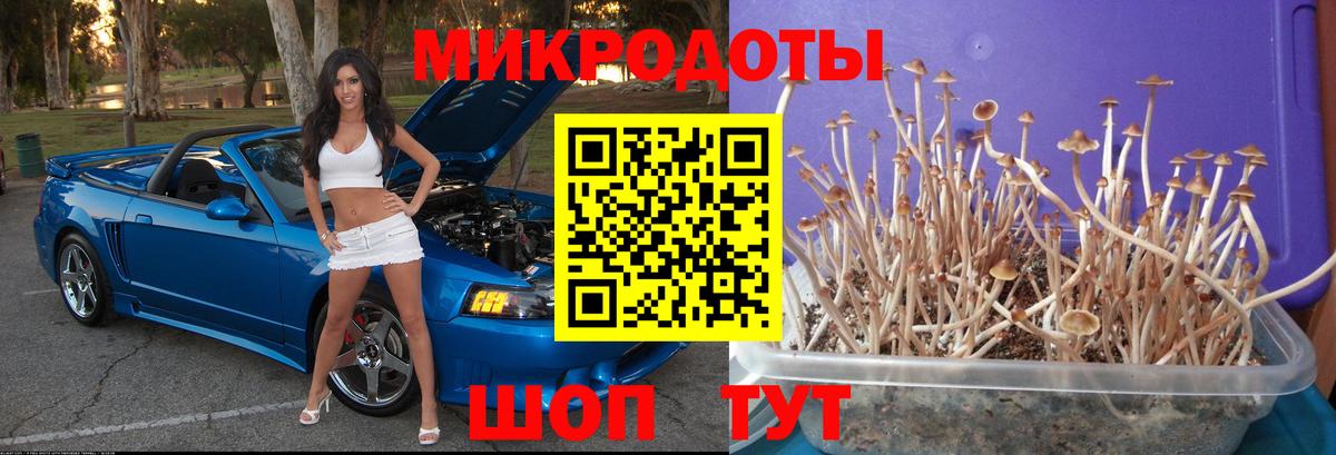 Советская Гавань  Галлюциногенные грибы Magic Shrooms  Вход с VPN 